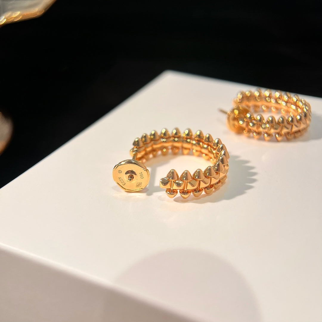 [Shinejoy]CLASH EARRINGS